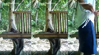 Awek Tudung Tudung Outdoor Viral Skandal 10M Tudung Chubby 3C075B