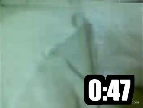 Janda Janda Sucking Head Toilet Views Janda Gebu E40F3B