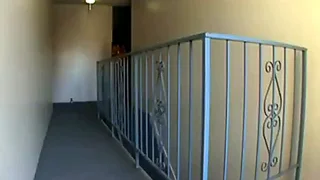 Janda Staff Office Pancut Dalam Sampai Meleleh Gersang Ajak Projek Malay Thai 837B47